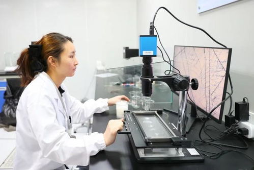 最美生產(chǎn)線(xiàn) 走進(jìn)中紡聯(lián)檢上海，探索檢驗(yàn)技術(shù)服務(wù)的卓越之旅